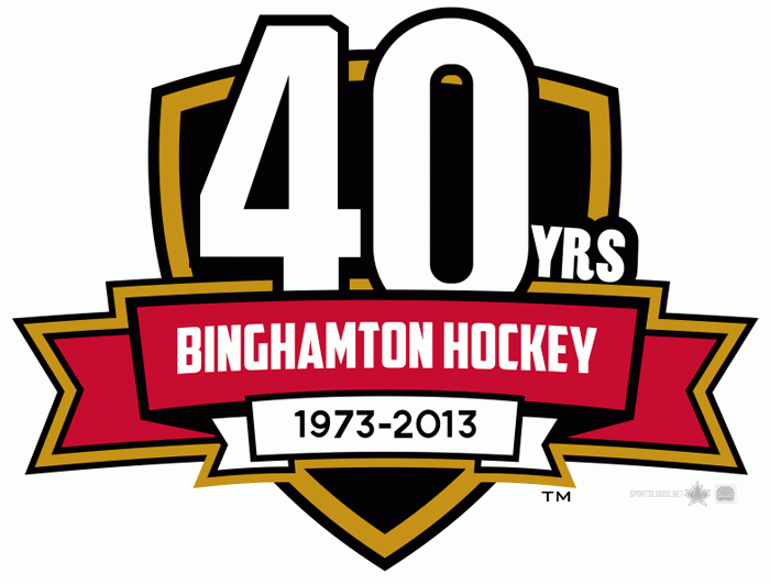 Binghamton Senators 2012 13-Pres Anniversary Logo iron on transfers for clothing